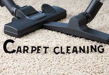 Large Residential Carpet Cleaning Company or a Small | Encino Carpet Cleaning
