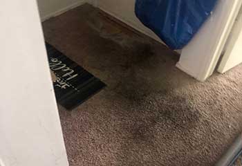 How To Remove Old Stains From Carpet - Lake Balboa