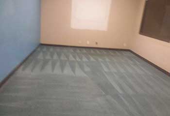Carpet Cleaning Near Encino | Carpet Cleaning Company Carpet Cleaning Near Encino | Carpet Cleaning Company