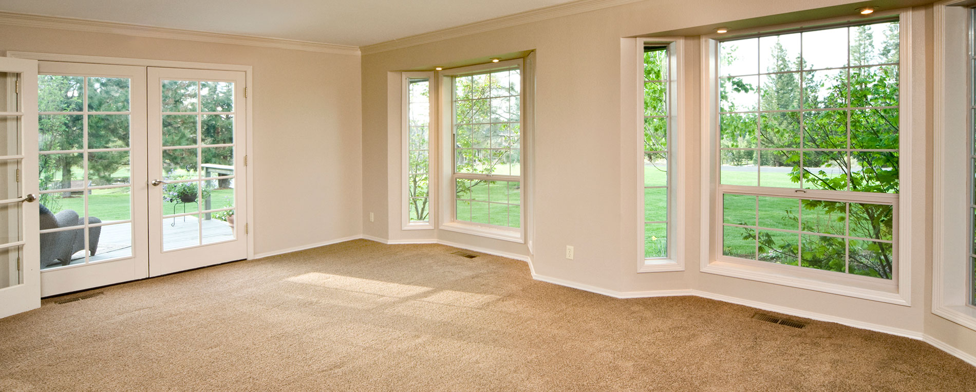 How to Choose Carpet Cleaning Products